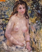 Akt in der Sonne nach Renoir